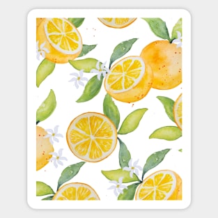 Oranges Magnet